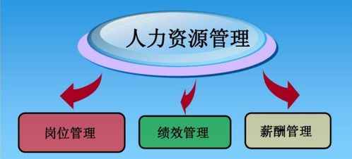 企業(yè)如何選擇薪酬績效管理咨詢公司及其服務收費模式