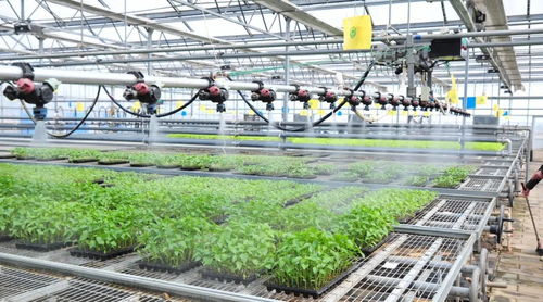 延慶區現代化育苗工廠 科技賦能農業，守護首都“菜籃子”穩定